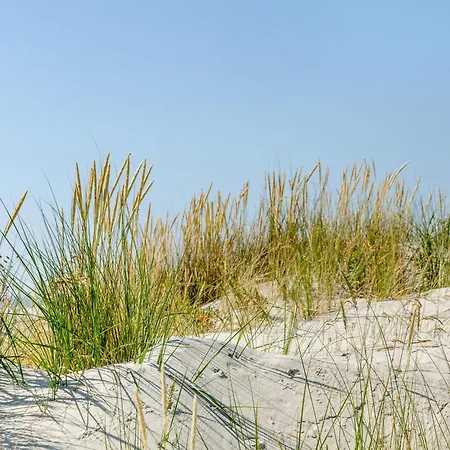 Sonnenschein - 1 *