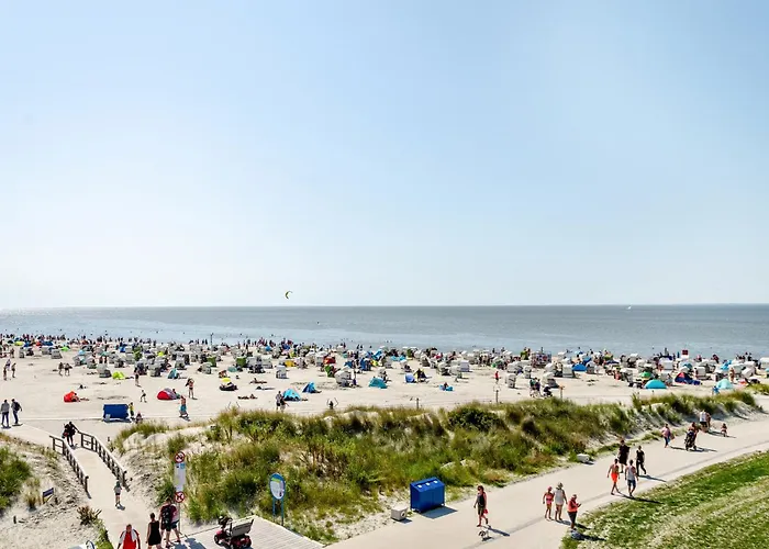 Daire Sonnenschein - 1 *