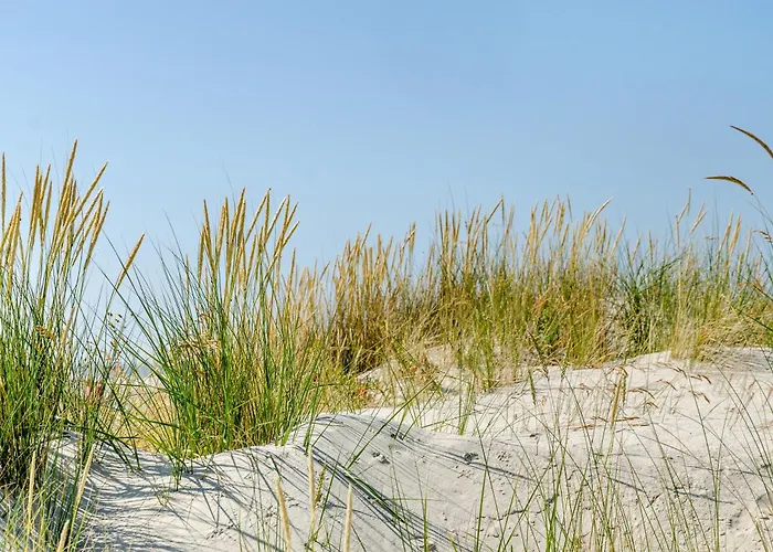 Sonnenschein - 1 Daire Norden